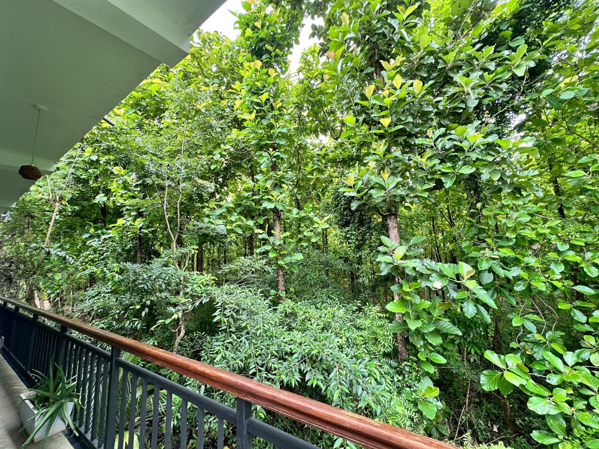 Nature House Udawalawe Exteriér fotografie