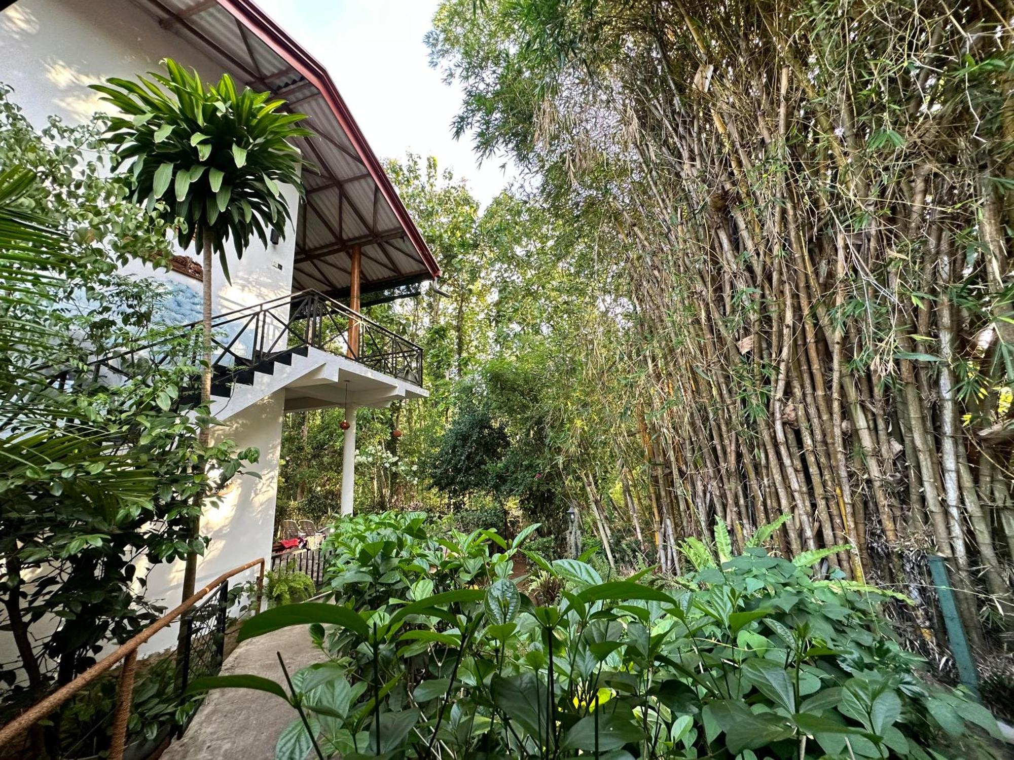 Nature House Udawalawe Exteriér fotografie